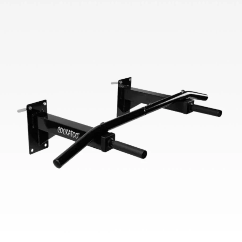Wall-Mounted Chin Up Bar