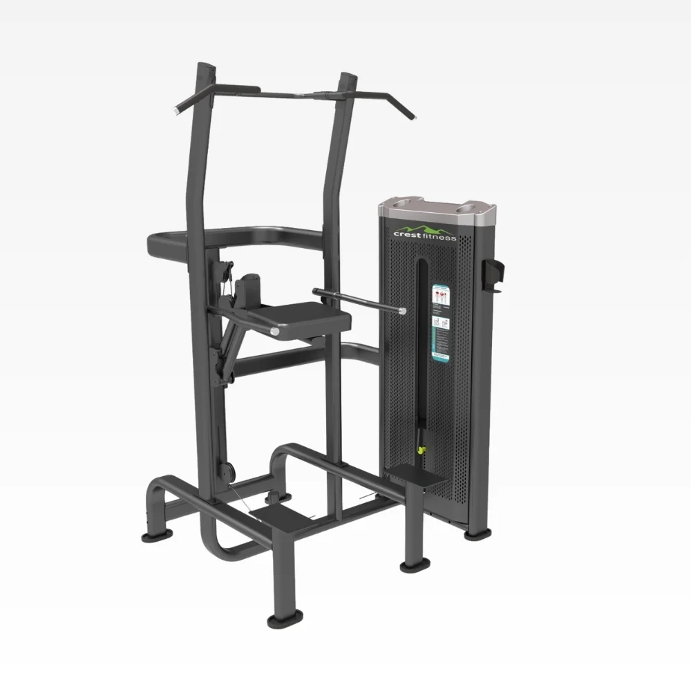 Weight Assisted Chin Dip