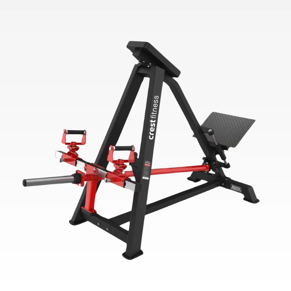 Incline Level Row 2.0