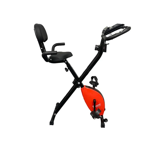 X BIKE WITH BACK SUPPORT CXB 06 | Cockatoo