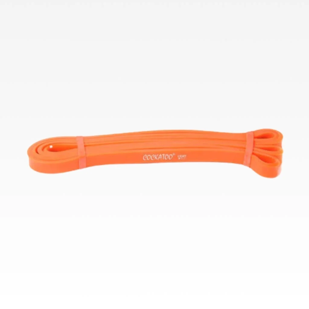 Premium Exercise Loop – Light