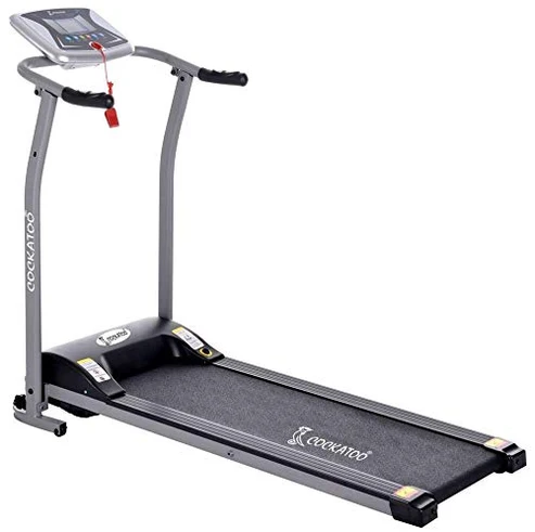 CTM08 - Motorized Treadmill (1.5-2HP) | Cockatoo