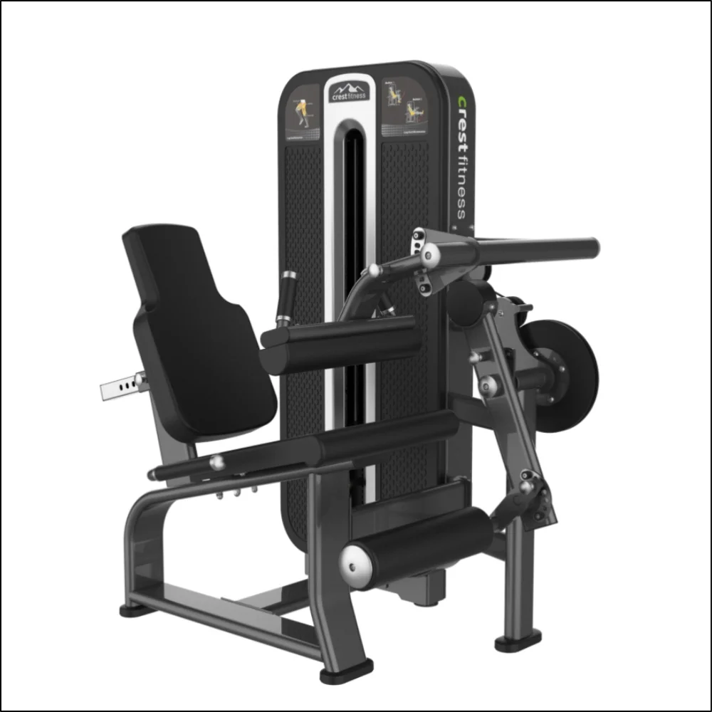 Leg Curl +Extension